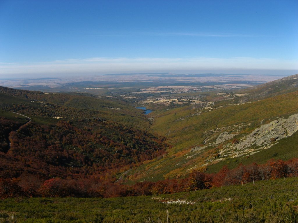 El Cardoso de la Sierra, 28190, Guadalajara, Spain by pedrosuja