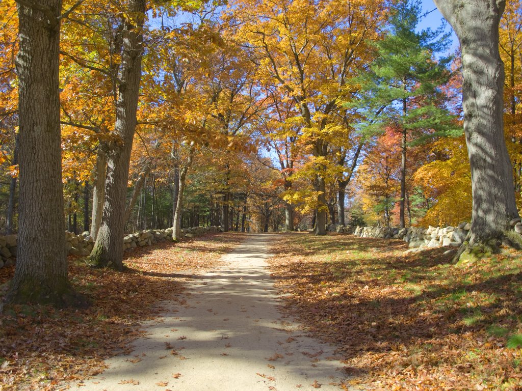 Fall Colors at Minute Man NHP by MSinkinson