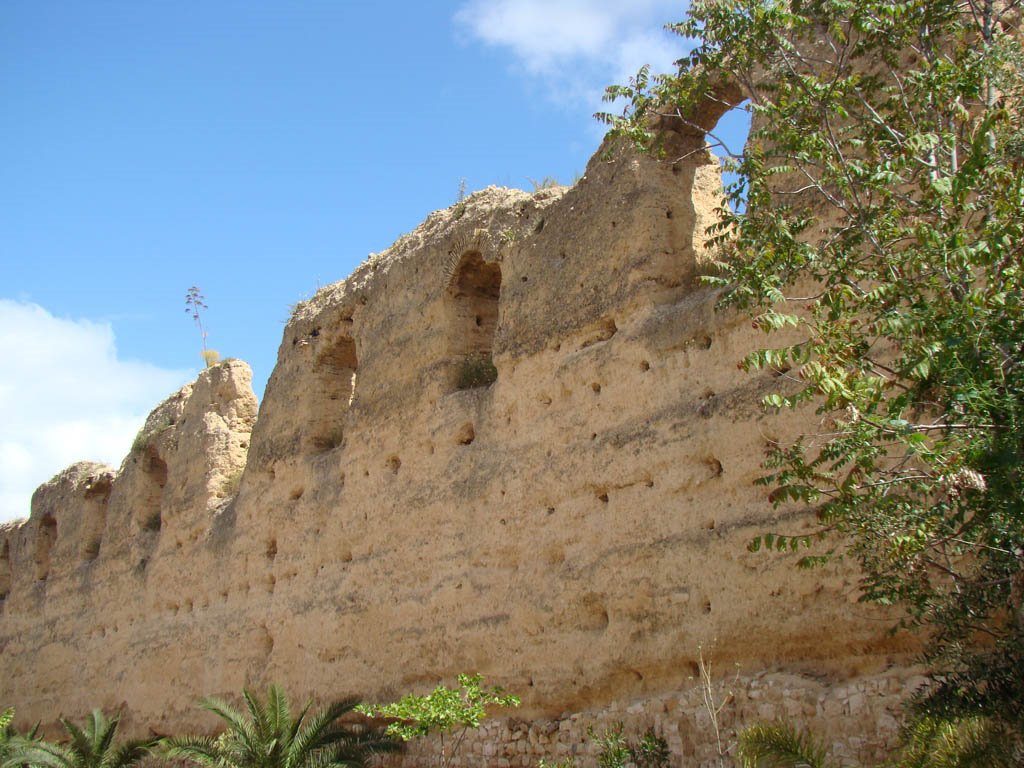 Muros do palácio real em Meknès by tmarcoantonio