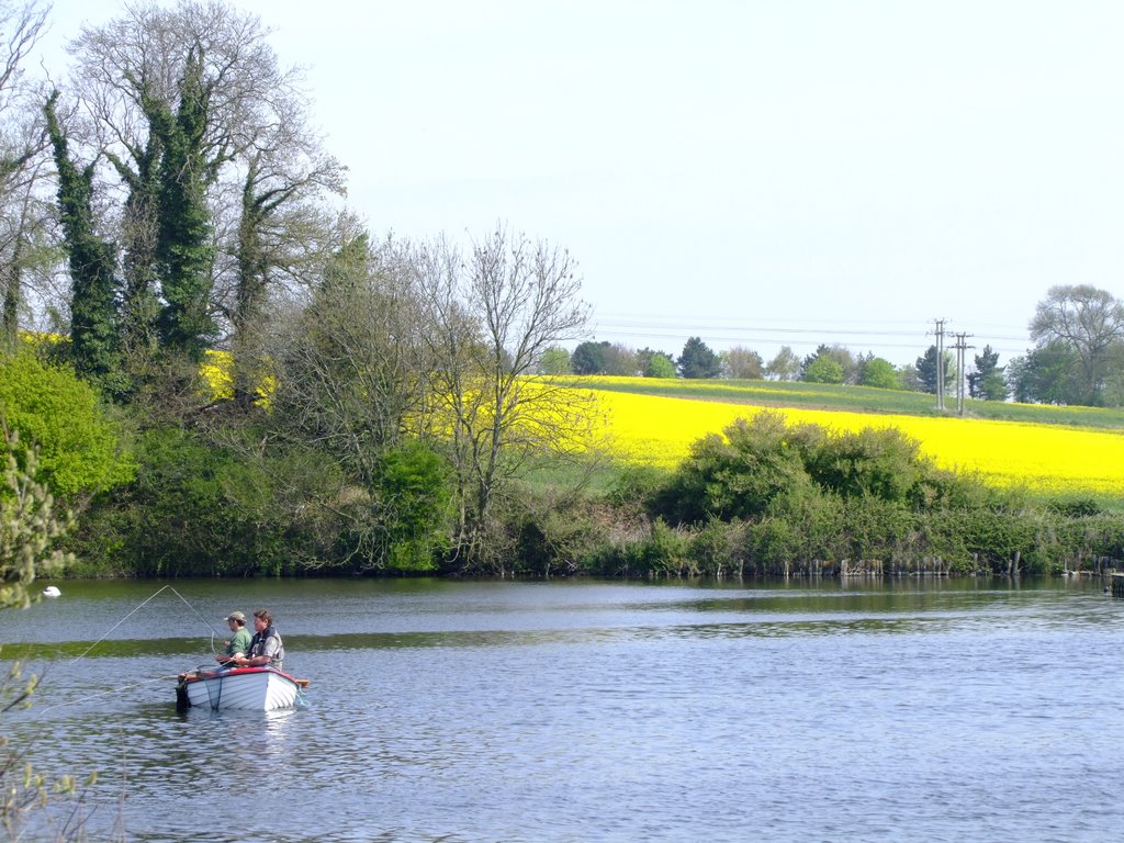 Trout lake-Levington by squiz54