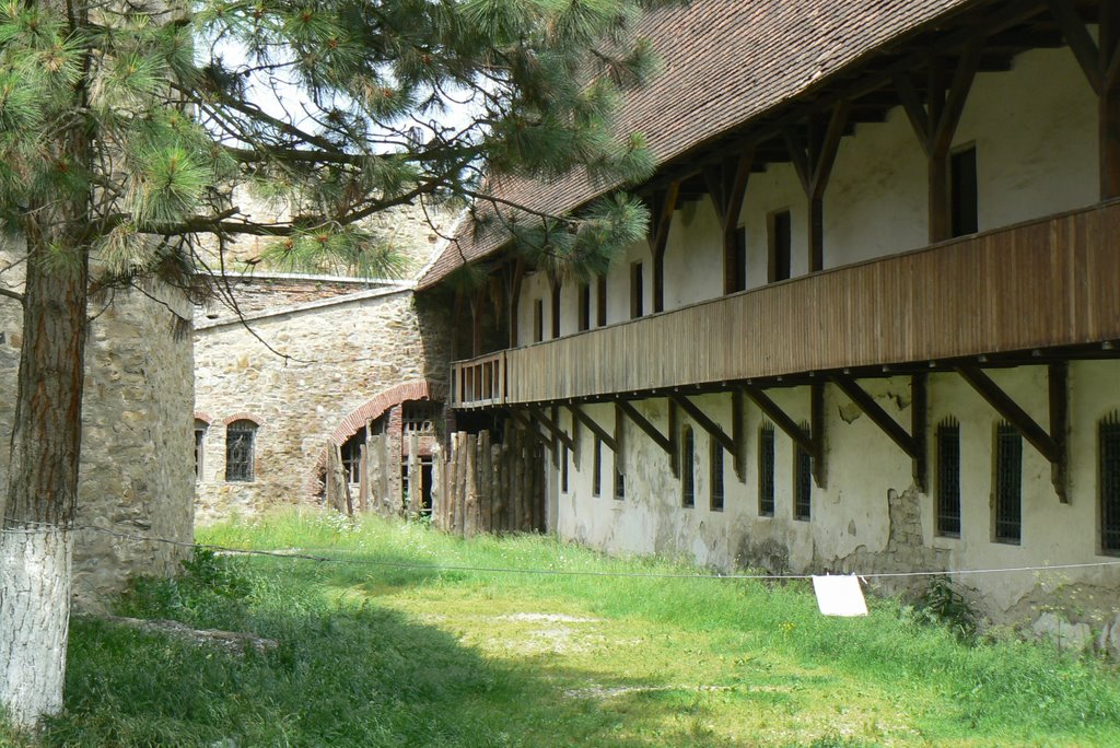 Fagaras Castle by Werner Scheel