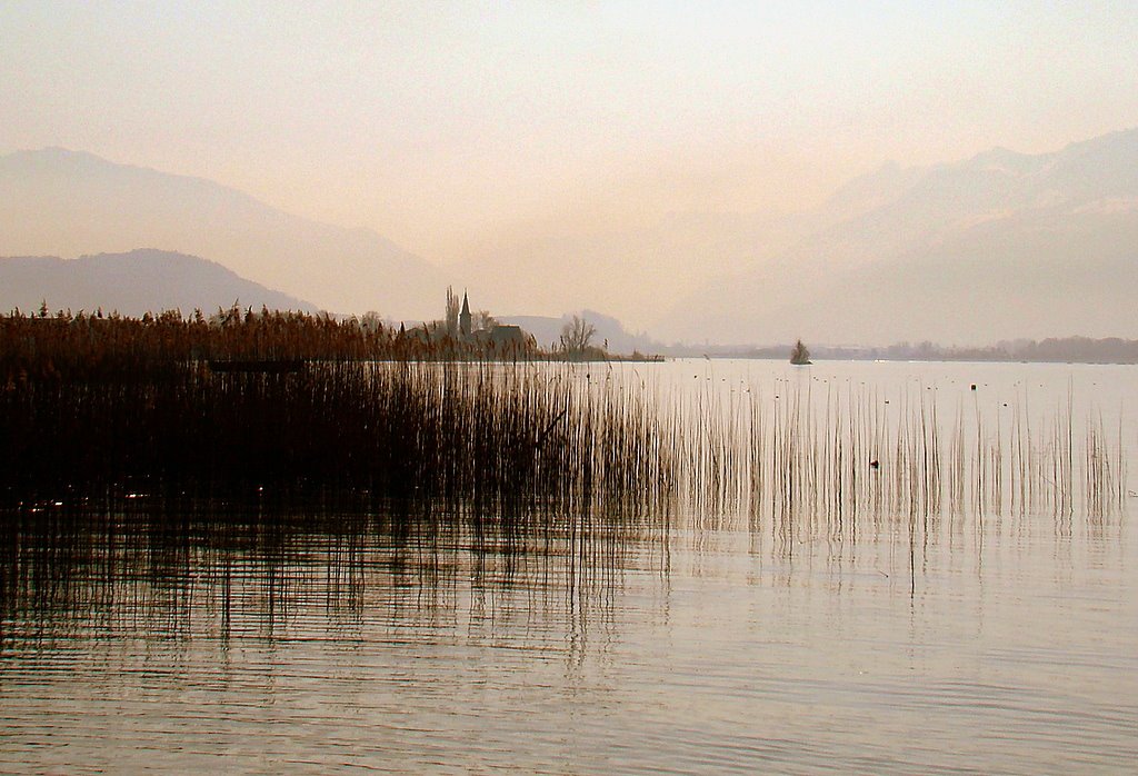 Early morning on Zurich lake by Svjetlana Peric