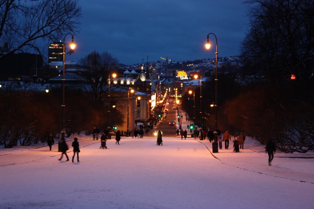 Karl Johan in the evening (jan.09) by einartch