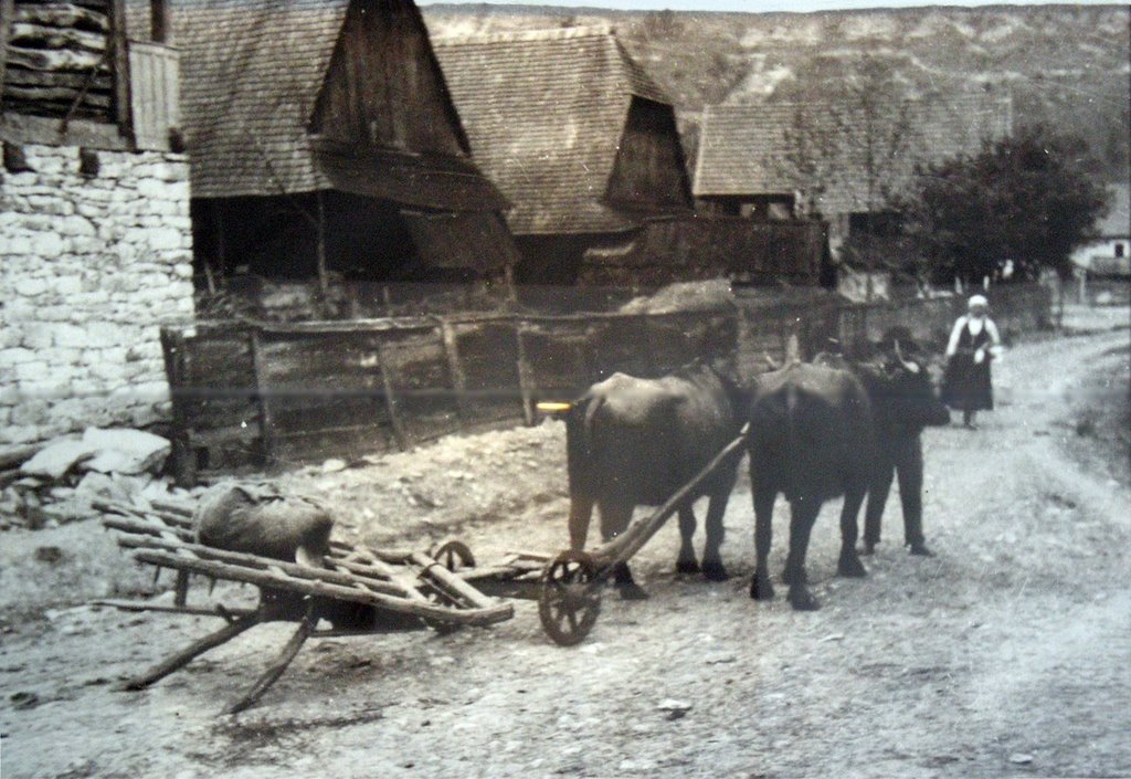 Hungarian country in the 50's - April 2009 by Roberto Bubnich