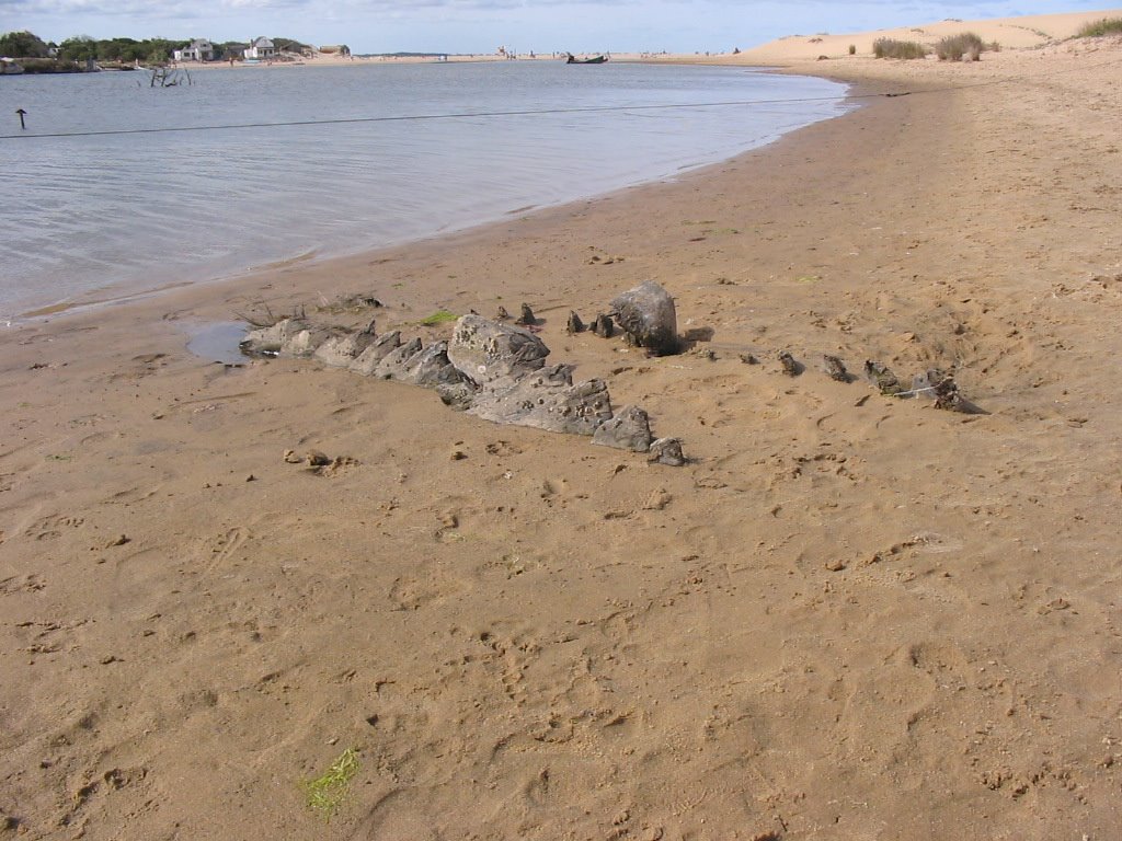 Orilla en arroyo valizas by lamaquinadecapurro