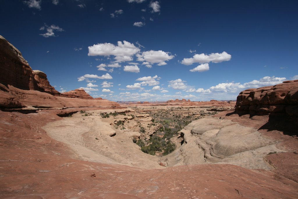 Needles District by Nick Terrett