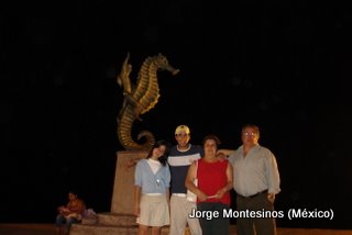 Vallarta's Nights by cvmmx1957