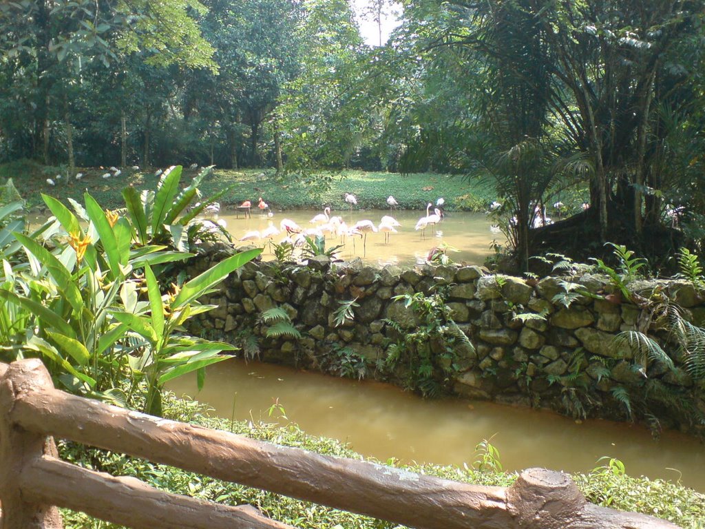 Malaysia National Zoo by najibpadzil