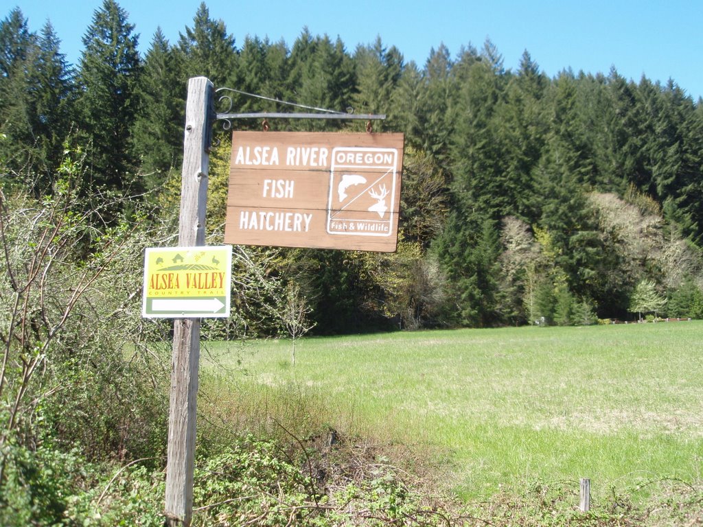 Alsea River Fish Hatchery Entry Marker by Alma Haus