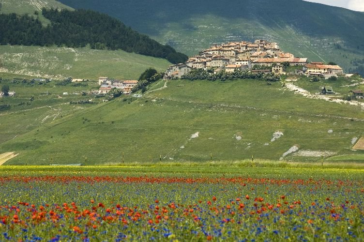 Castelluccio by panmax74