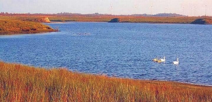 Landscape Zwartemeer,prachtig natuur gebied by Fotograaf Jan Gort Klazienaveen Emmen