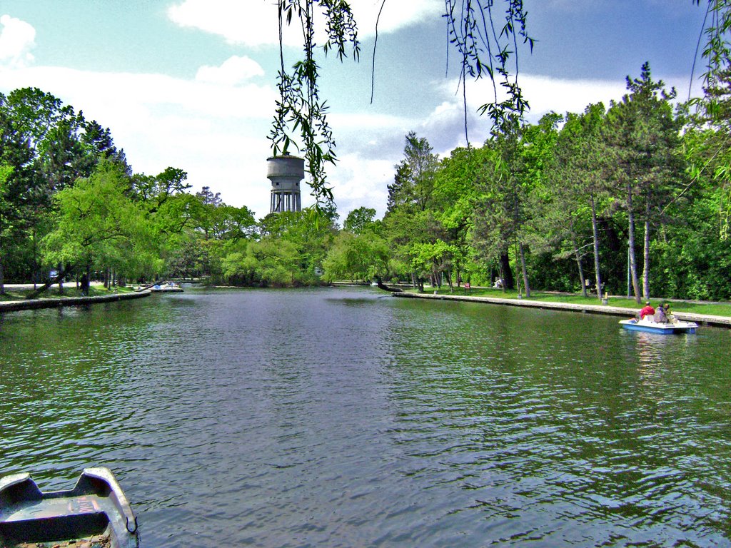 The Helesteu lake by Laurentiu Mitu