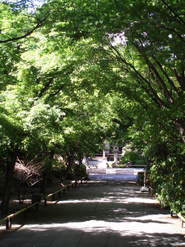 Koenji Temple by Kiyochan