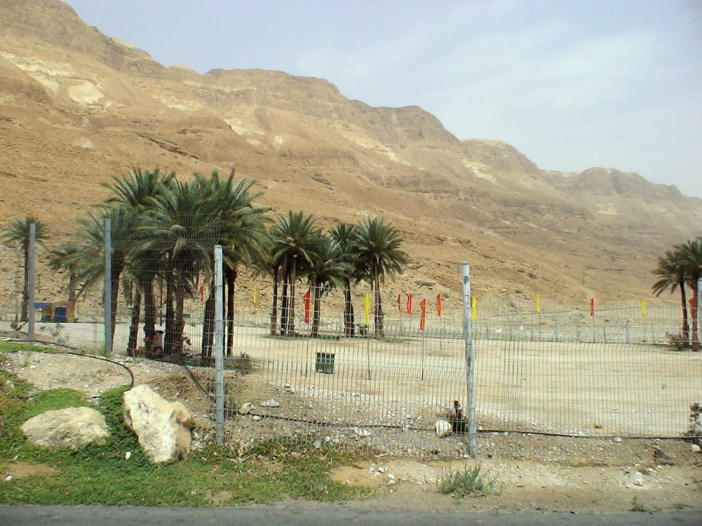 The Dead sea. Ein Gidi by Vglazachev