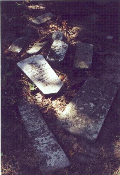 Scattered tombstones in Carson Family Cemetery, Butler County, Kentucky by vanrcwisner