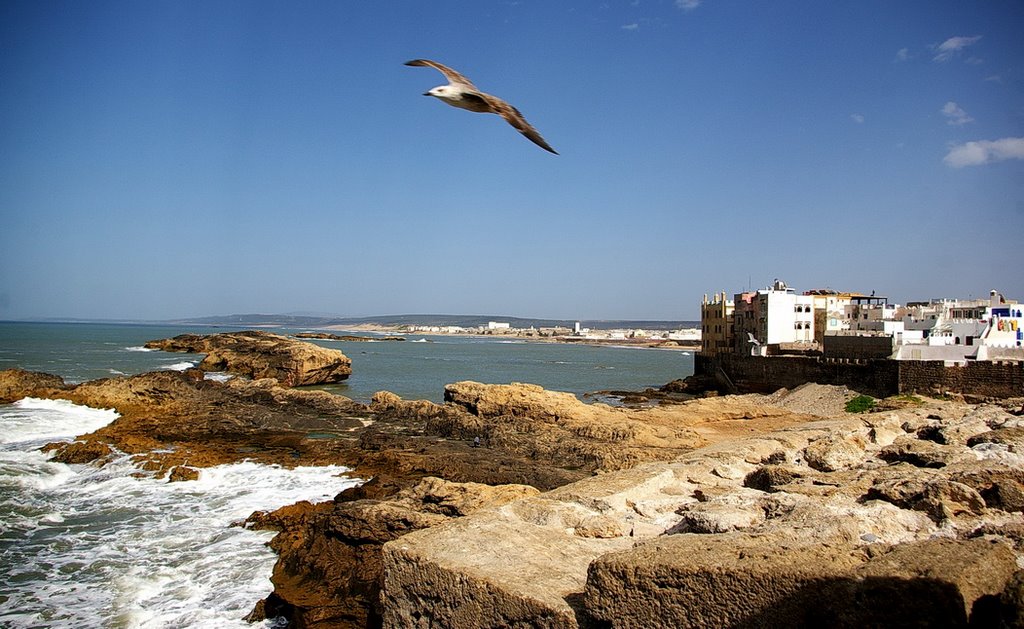 Ahl Agadir, Essaouira, Morocco by Andre Sadowski