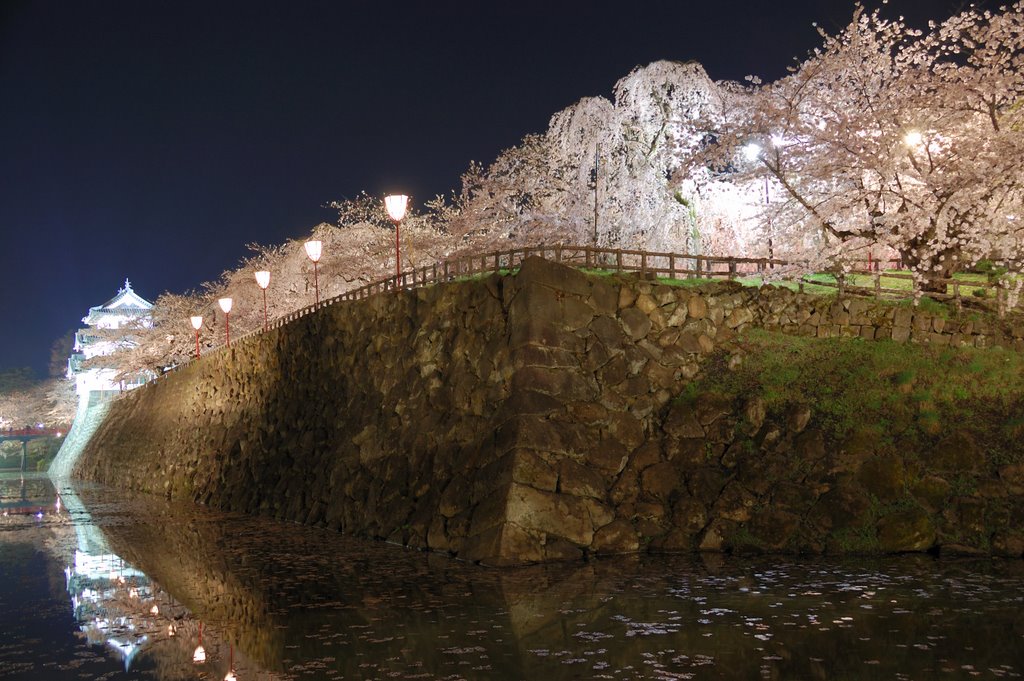 Moat and wall of Hirosaki Castle (spring night) by kani1632