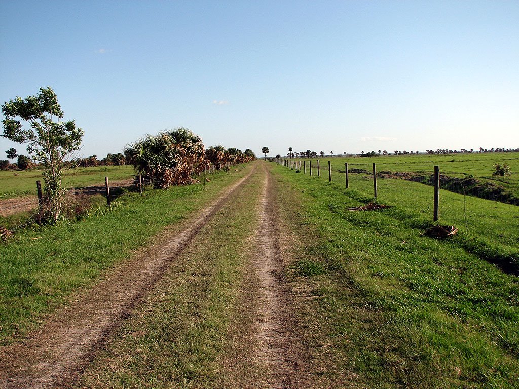 Road/Trail North - White Trail by Tom Choma