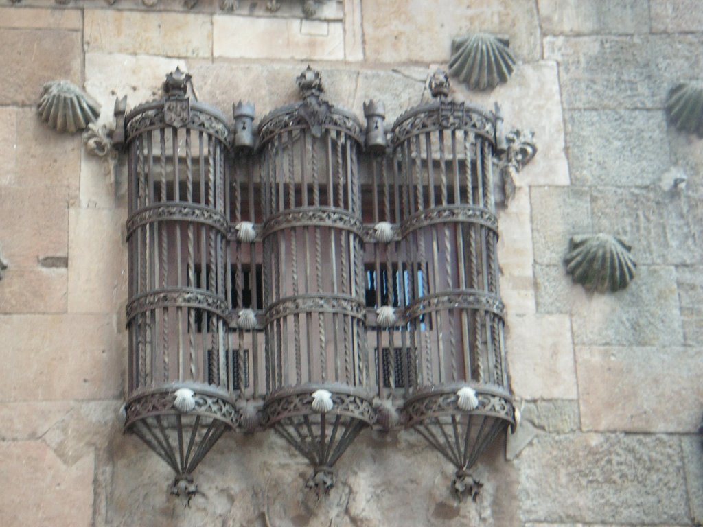 CASA DE LAS CONCHAS- SALAMANCA-(SPAIN) by garo