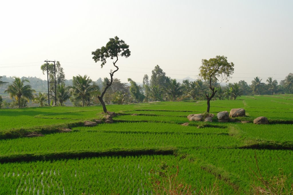 Hampi - near Rishimukh place - India by Dom.FunkyFresh