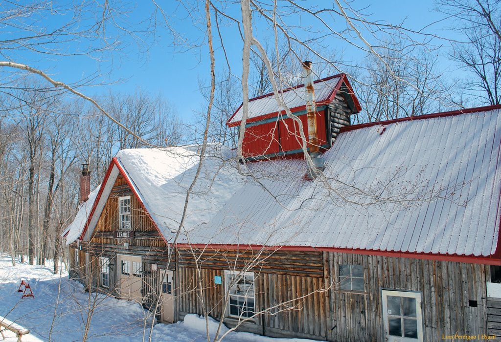 Quebec | Duchesnay * L' Erable by Luper