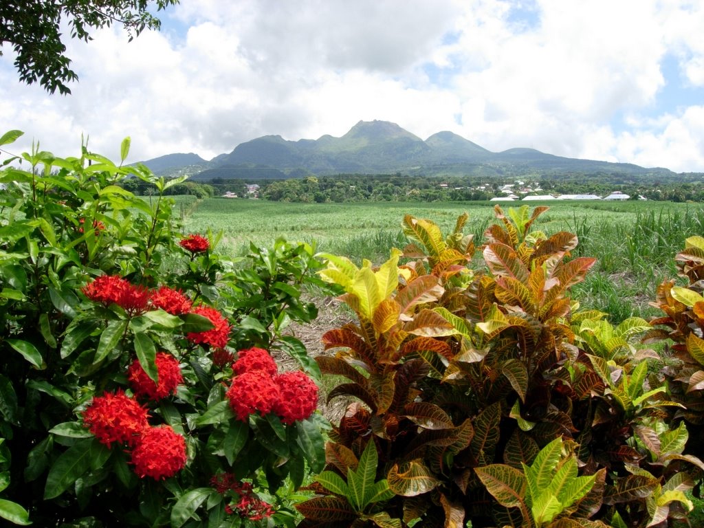 Guadeloupe Massif de la Soufrière by Claude Roussel-Dupré