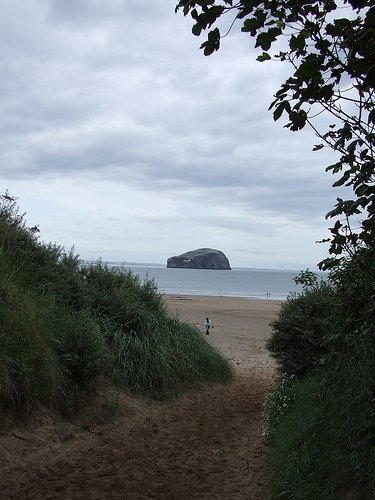 Bass Rock by emmar