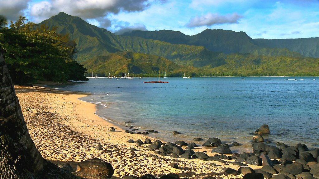 KAUAI - Princeville Beach by WavesDVD.com