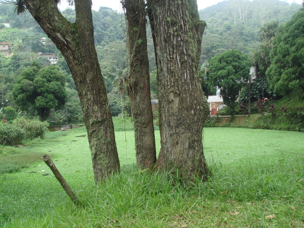 20090412-PETRÓPOLIS-NAS NUVENS-LAGO - Malice by malicemalice