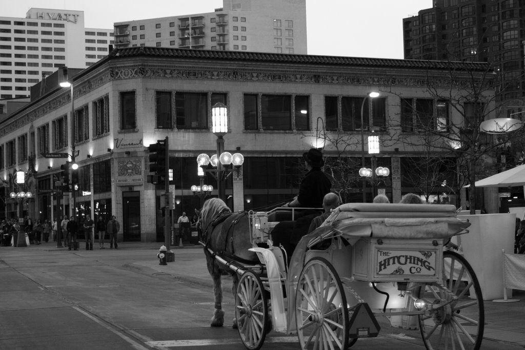 Carriage in downtown Minneapolis b/w by tonibcn