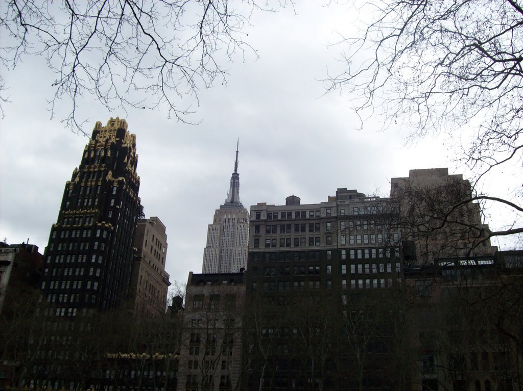 Empire State Building Appearing by kdfitzmo