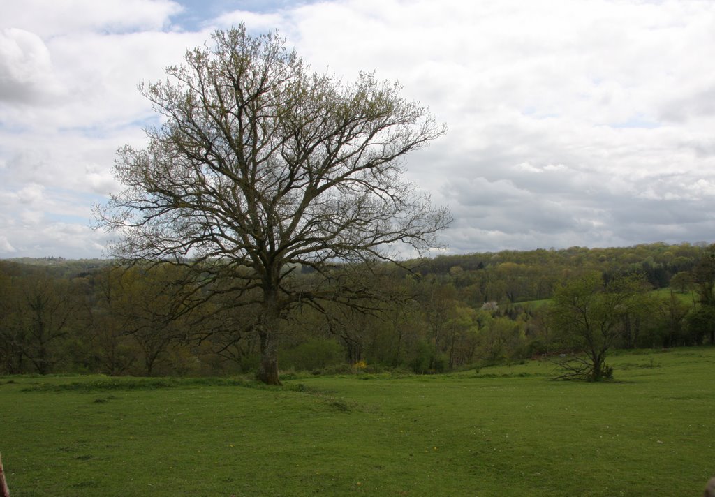 Le Chalard : paysage alentour by macrobert