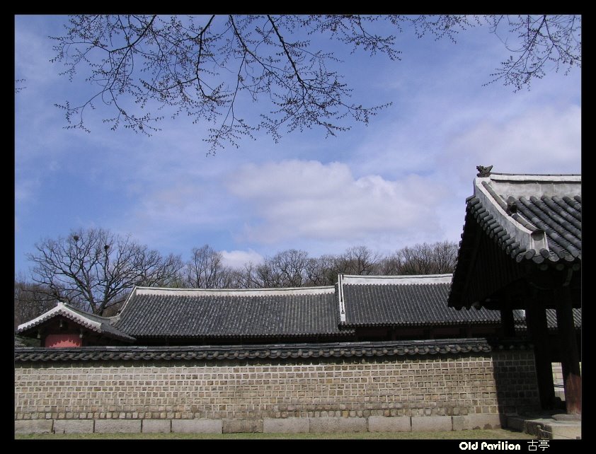 JongMyo Shrine-UNESCO World heritage by oldpavilion