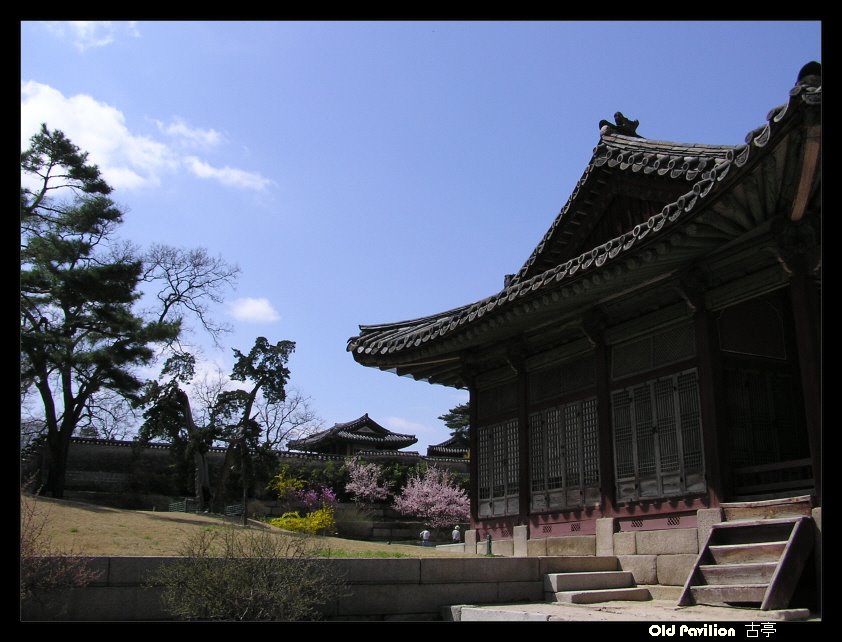 창경궁 Changgyeonggung Palace by oldpavilion