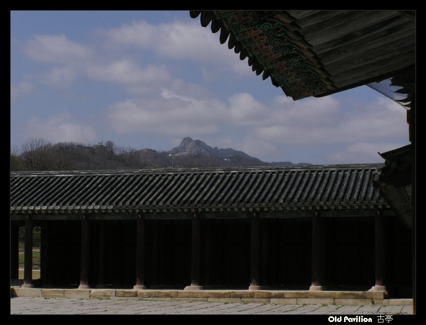 창경궁 Changgyeonggung Palace by oldpavilion