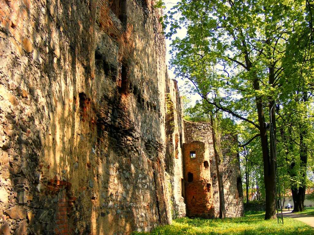 Ząbkowice Śląskie.Ruiny zamku od strony południowej by Andrzej Brudziński