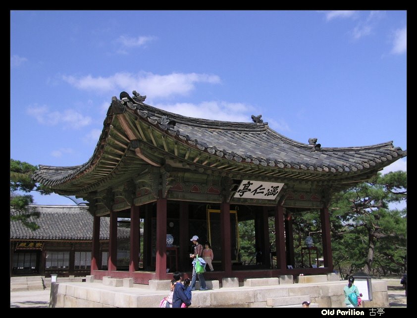 창경궁 Changgyeonggung Palace by oldpavilion