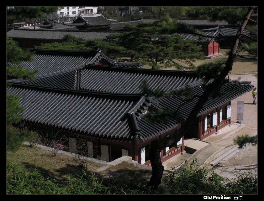 창경궁 Changgyeonggung Palace by oldpavilion