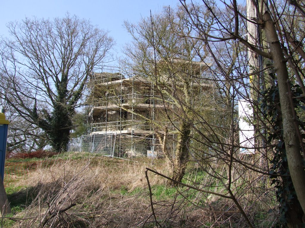 Dinton Folly undergoing repair work. by Mike Zawadzki