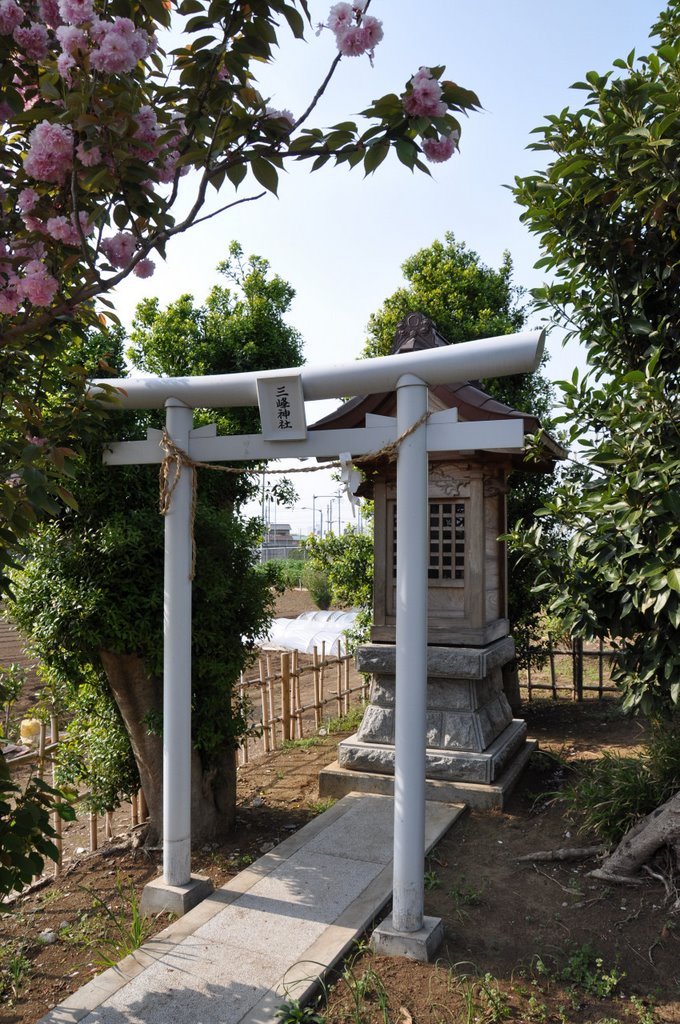 Mitsumine-Jinja 三峰神社 (2009.04.19) by k.takita