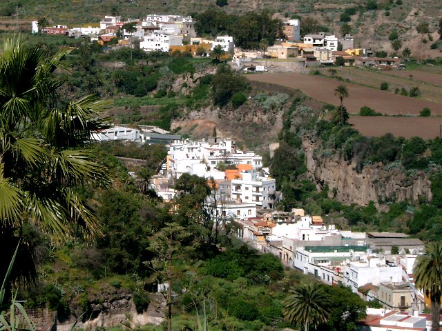 Barranco de Guiniguada. Tafira. Gran Canaria by Claudio Cabello