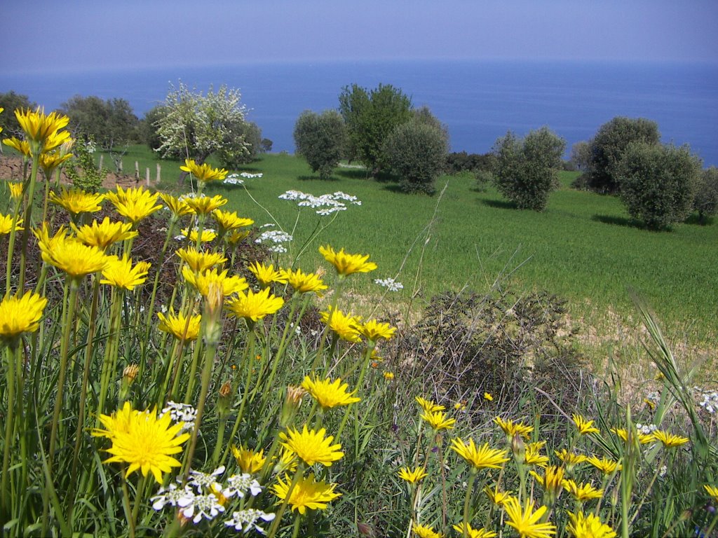 Campagna rosetana by © Dino Converti