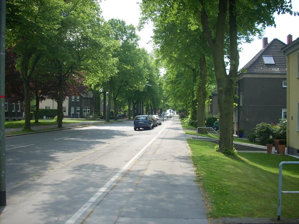 Gelsenkirchen-Hassel MarlerStr. April 2009 by DortmundWestfalica