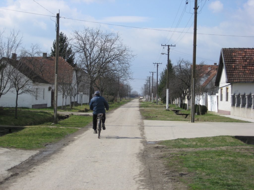 Village Bođani by sonjamar