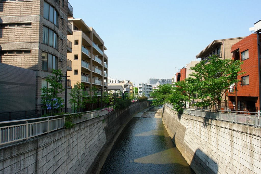 中野坂上 神田川 淀橋 Nakano-sakaue A-807 by bluebackimage