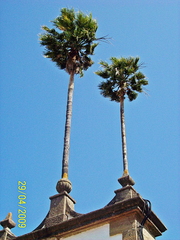 Puerta principal del Palacio by "Al Malaqí"