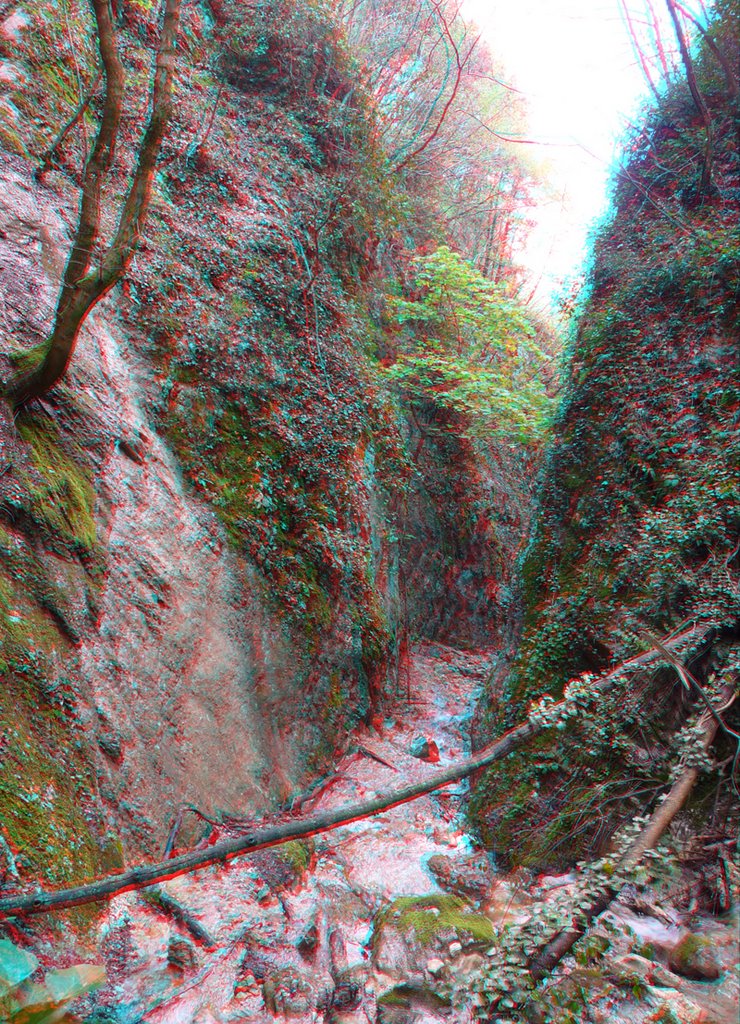 Le sorgenti dell'Esino in 3D by leogiordani