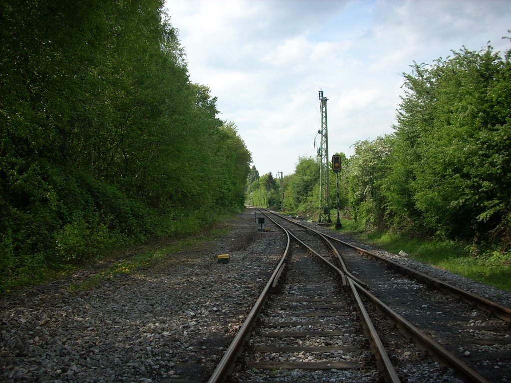 Gelsenkirchen-Hassel RBH Bahnstrecke April 2009 by DortmundWestfalica