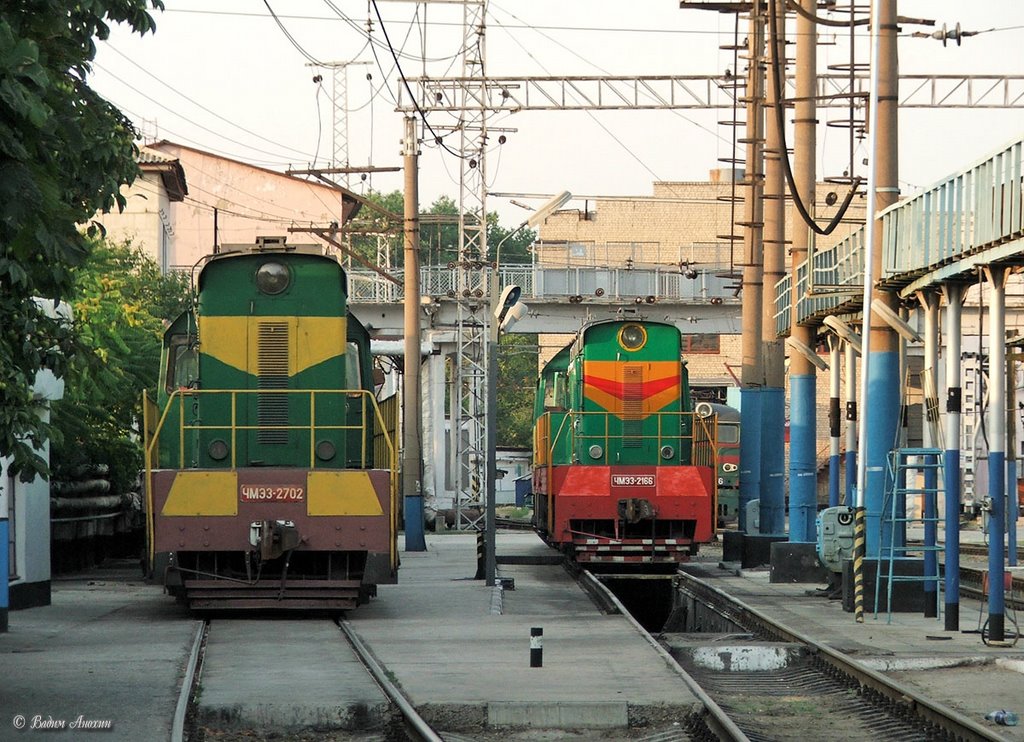 Diesel locomotives ChME3 in depot of the train station Simferopol by Vadim Anokhin