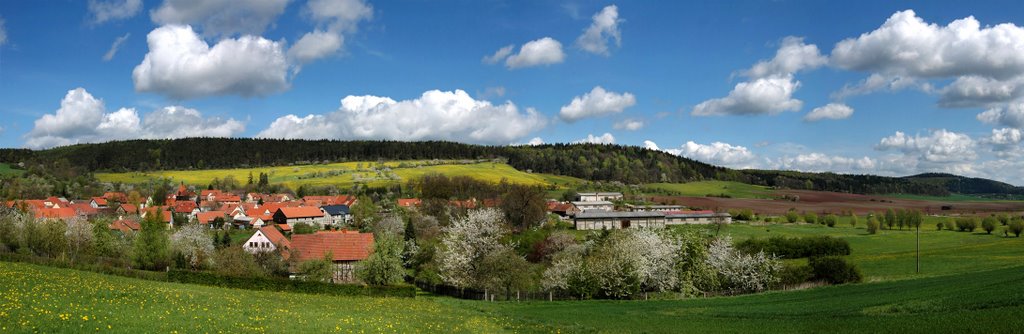 Tiefengruben bei Bad Berka in Thüringen by Günter Kutschke